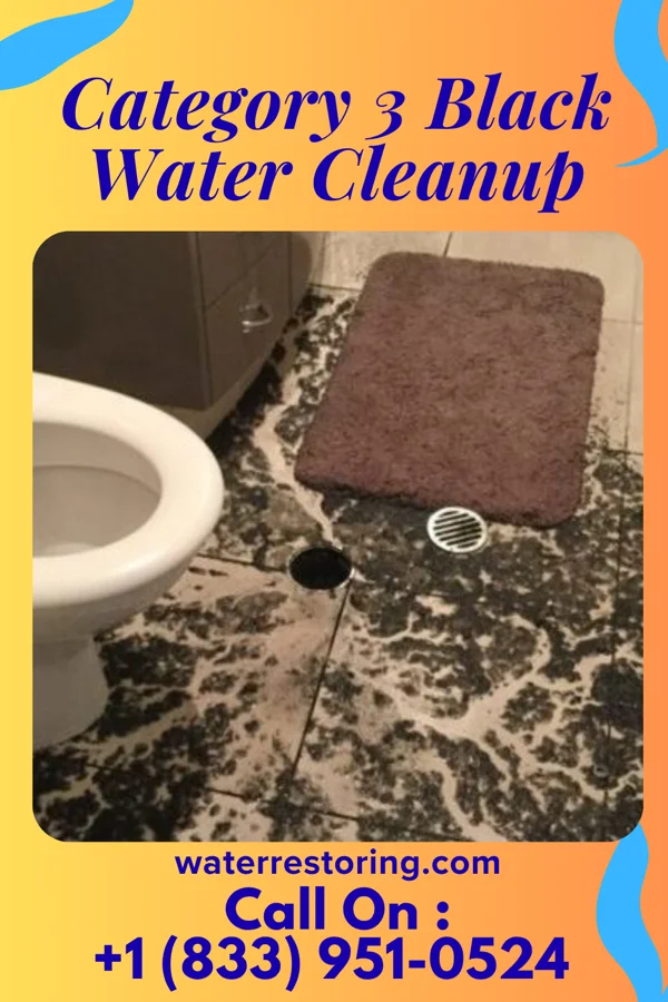 Category 3 Black Water Cleanup in Clay Center, OH
