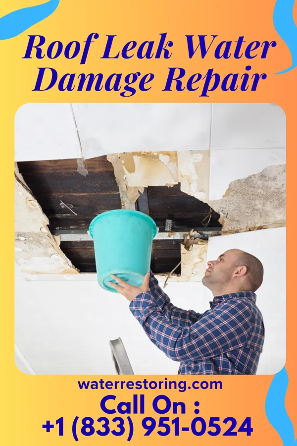 Roof Leak Water Damage Repair in Clay Center, OH