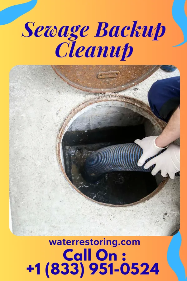 Sewage Backup Cleanup in Clay Center, OH